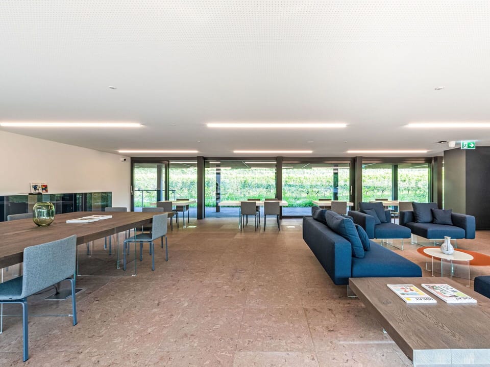 Interior Design, Wall, Flooring, Wood, Ceiling, Furniture, Floor, Room, Lighting, Apartment