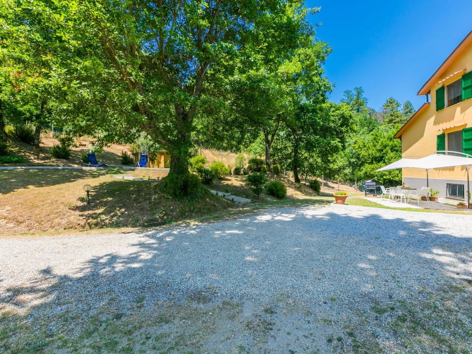 Tree, Spring, Shade, Landscaping, Driveway, Trail, Stock Photography