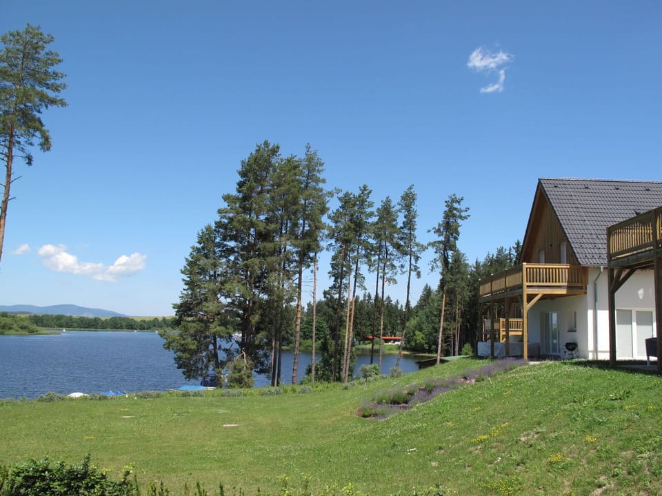 Tree, Bank, Lake, Reservoir, Cottage, Loch, Larch, Landscaping