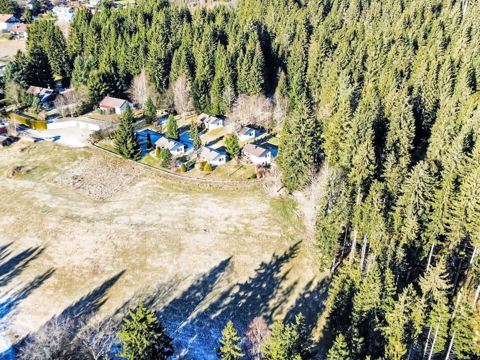 Tree, Aerial Photography, Forest, Bird'S-Eye View, Larch, Village, Evergreen