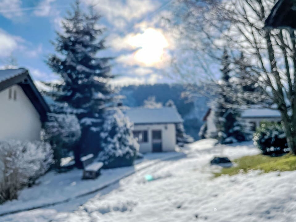 Snow, Blue, Winter, Branch, Home, House, Freezing, Geological Phenomenon, Cottage, Twig