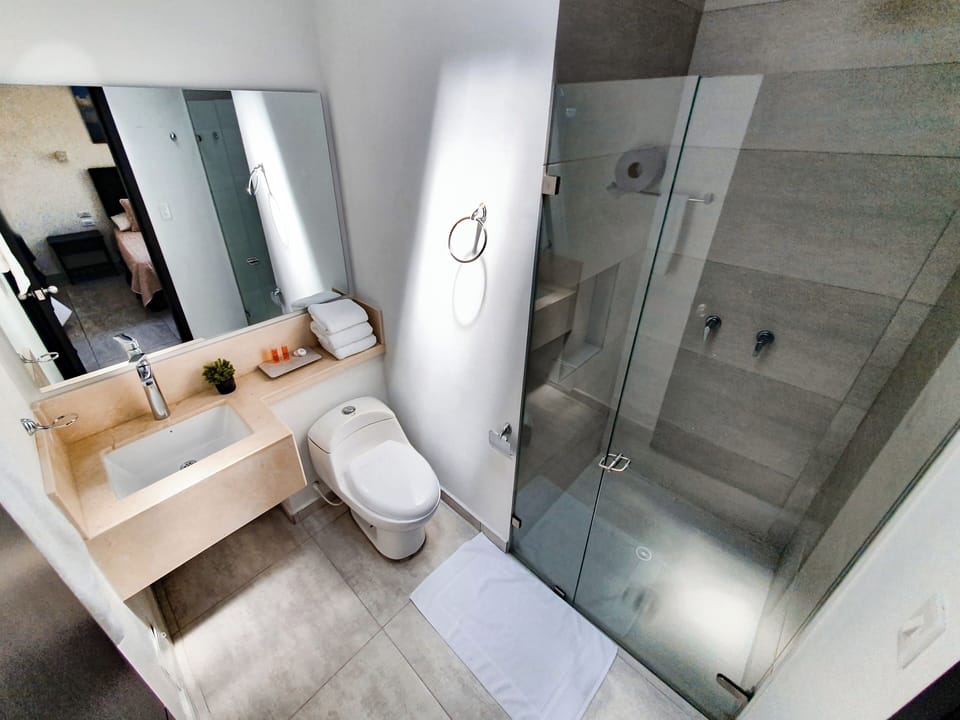 Deluxe Room | Bathroom | Shower, rainfall showerhead, towels, soap