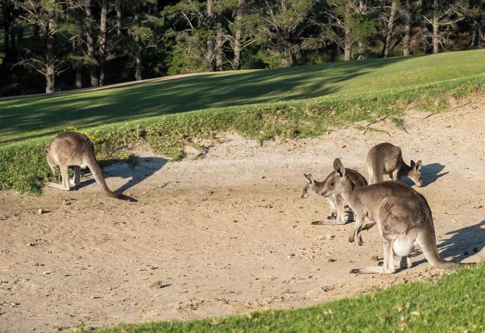 Your neighbours for the weekend (or week)!