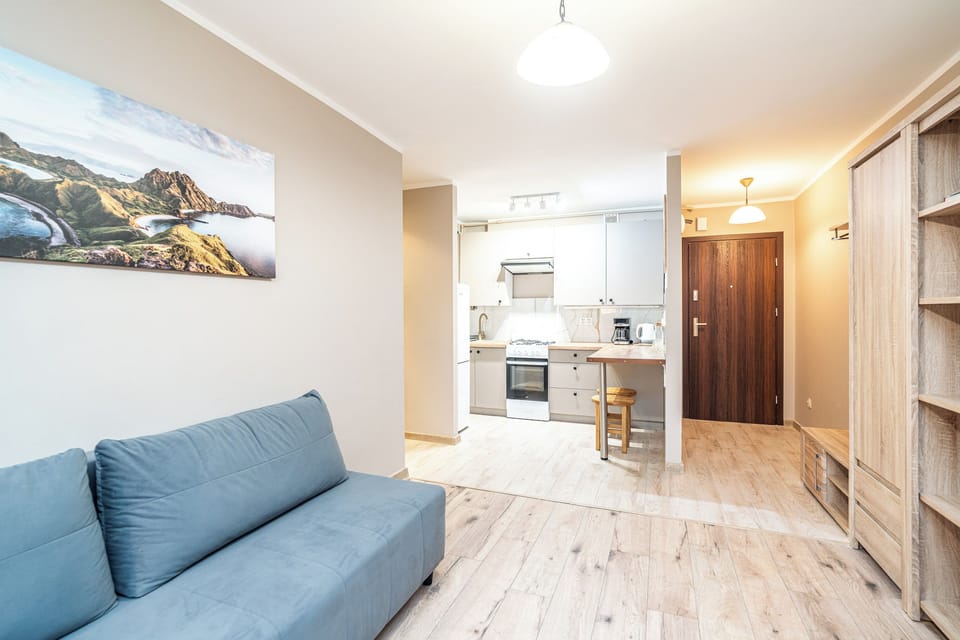 Apartment | Living room | 37-inch flat-screen TV with cable channels