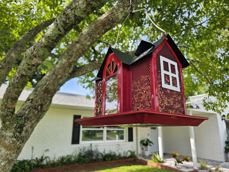 Bird Feeder