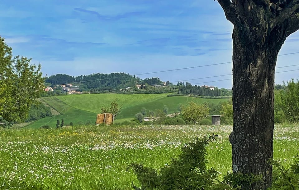 view-from-room