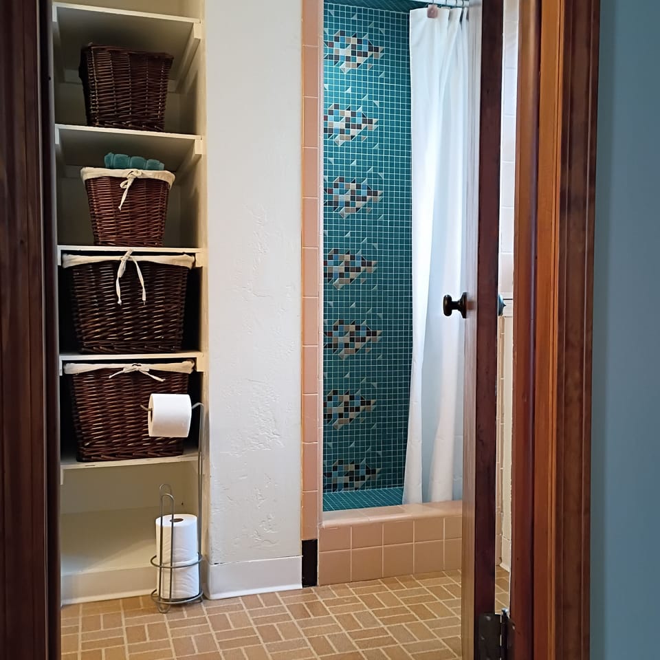 Lower Level Bathroom