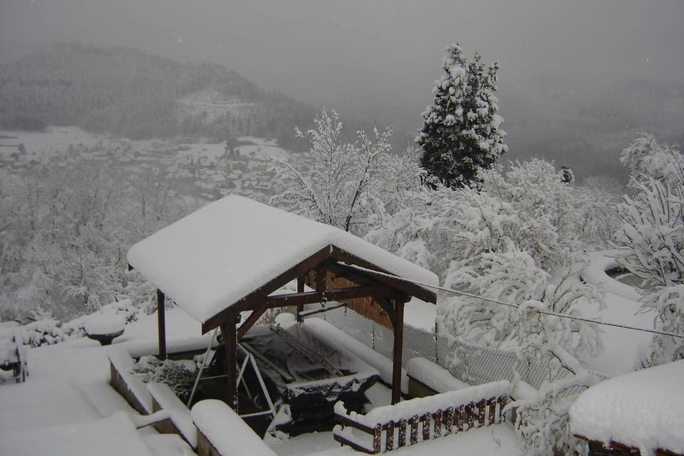 Garden [winter]