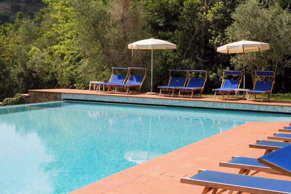 Autumn, Pool, Spring, Summer