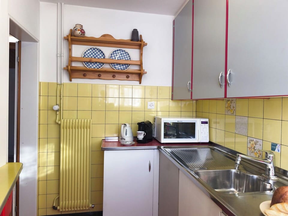 Kitchen, Flooring, Wood, Kitchen Appliance, Major Appliance, Interior Design, Floor, Countertop, Furniture, Room