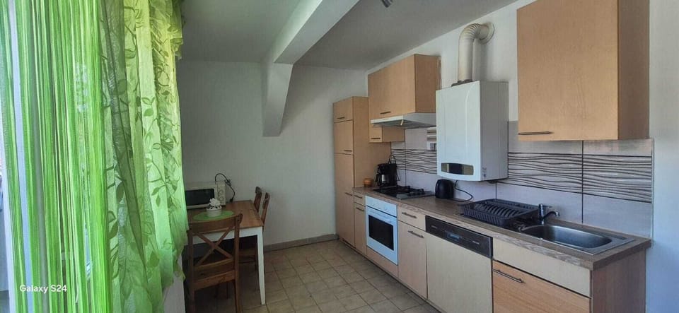 Basic Apartment | Private kitchen | Fridge, microwave, oven, stovetop