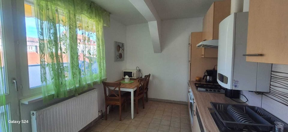 Basic Apartment | Private kitchen | Fridge, microwave, oven, stovetop