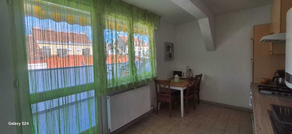 Basic Apartment | Private kitchen | Fridge, microwave, oven, stovetop