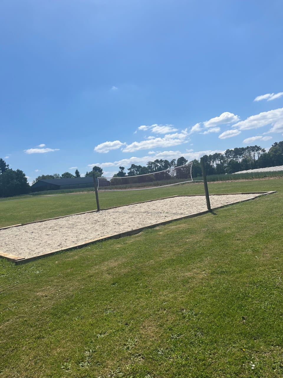 Sport court