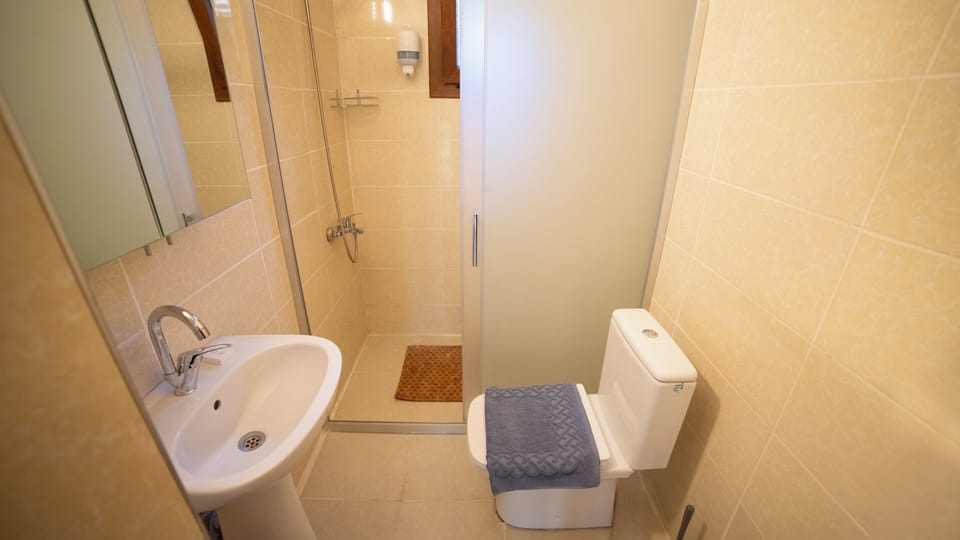 Standard Double Room, Garden View | Bathroom | Shower, hair dryer, towels, soap