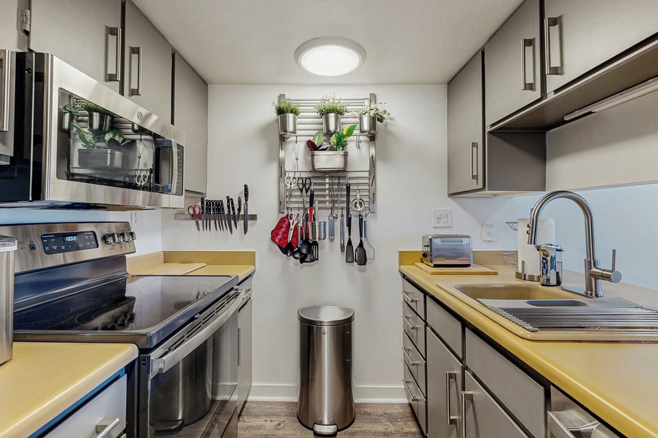 Apartment (1 Bedroom) | Interior