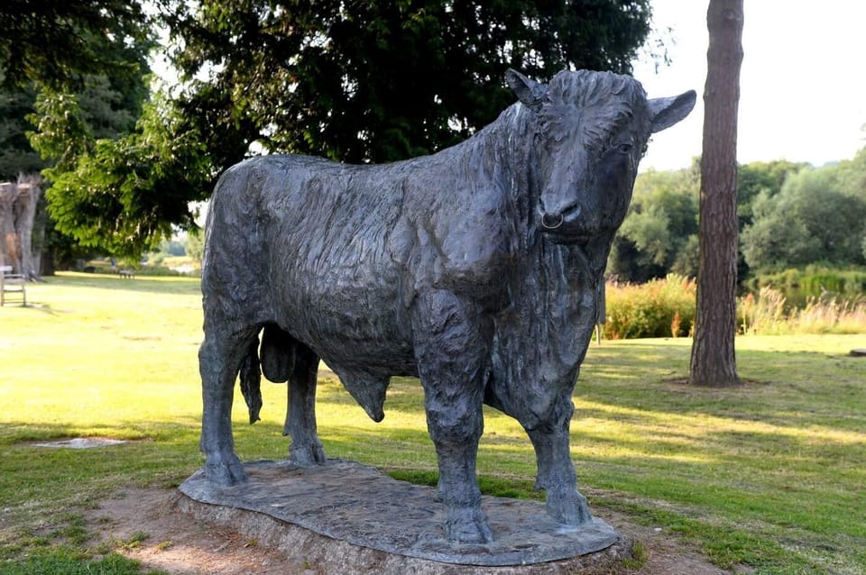 Builth Bull