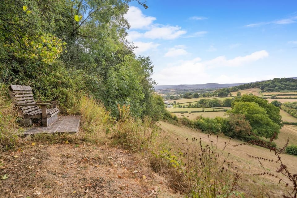 Take a stroll up to the bench with a view, and enjoy!