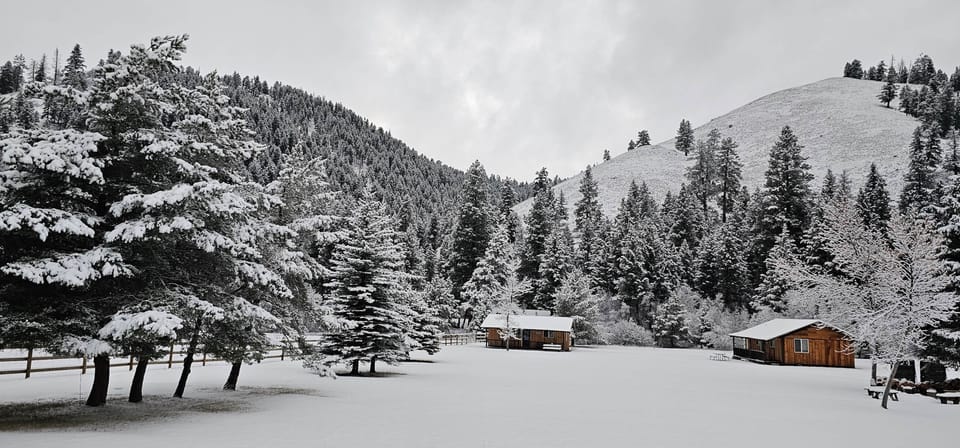 North View of Cabin 2 & 3