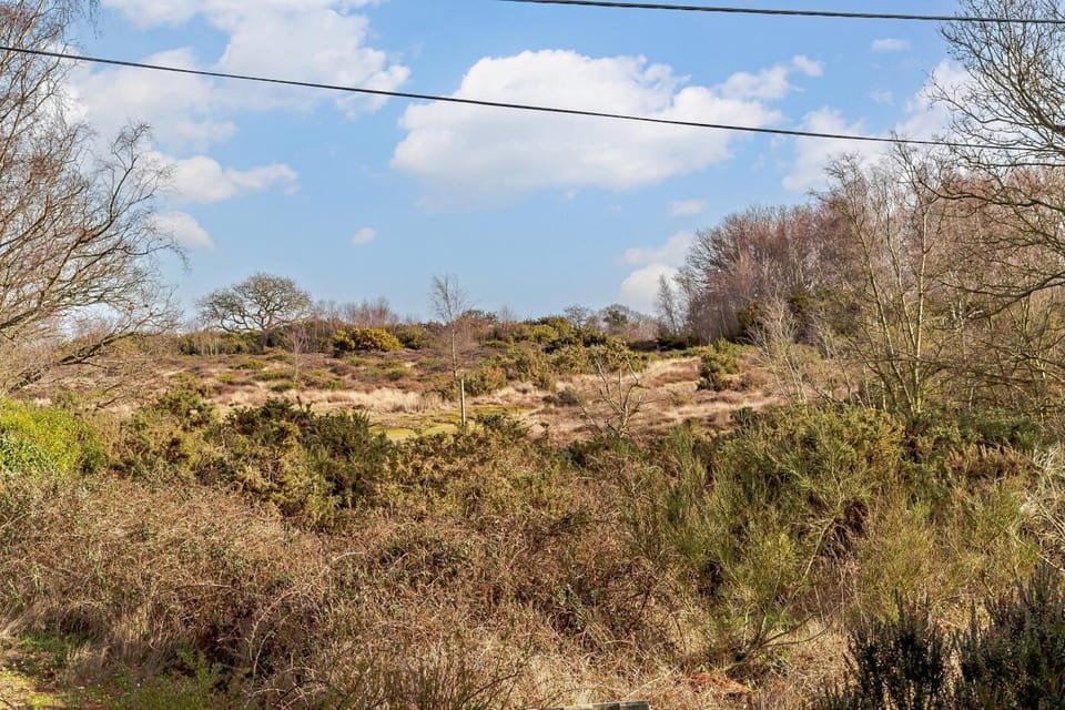 Miscellaneous