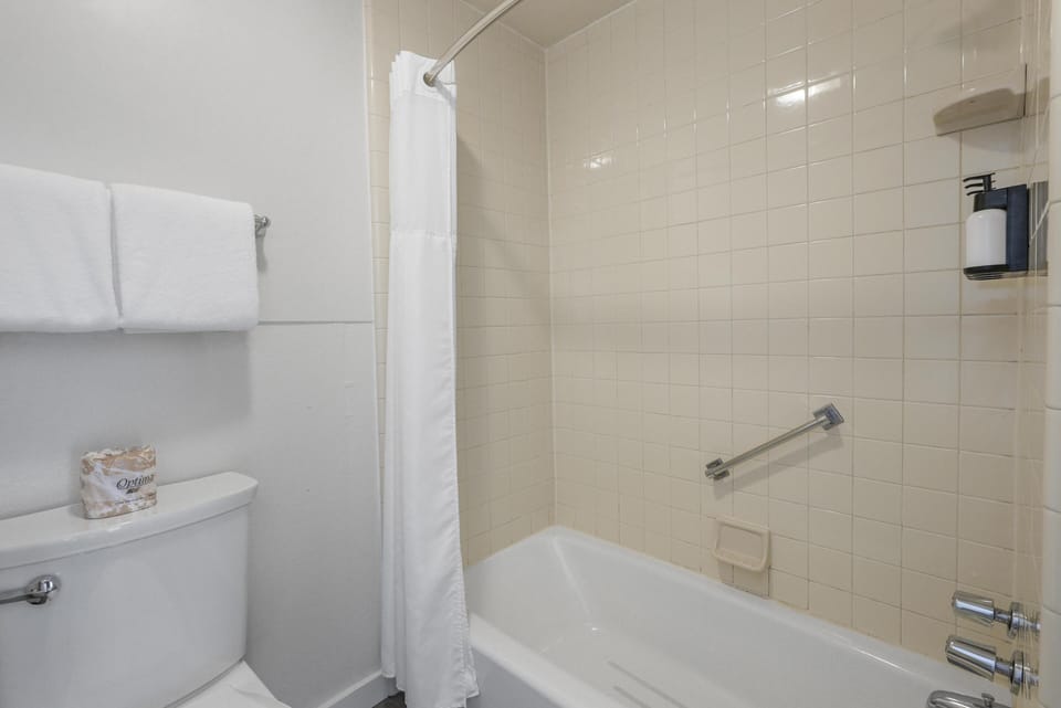 1 Queen Bed, Partial Lake View image 2