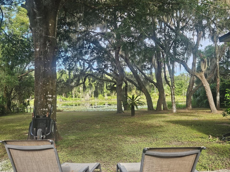 peaceful backyard 