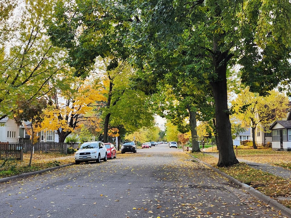Ample free street parking