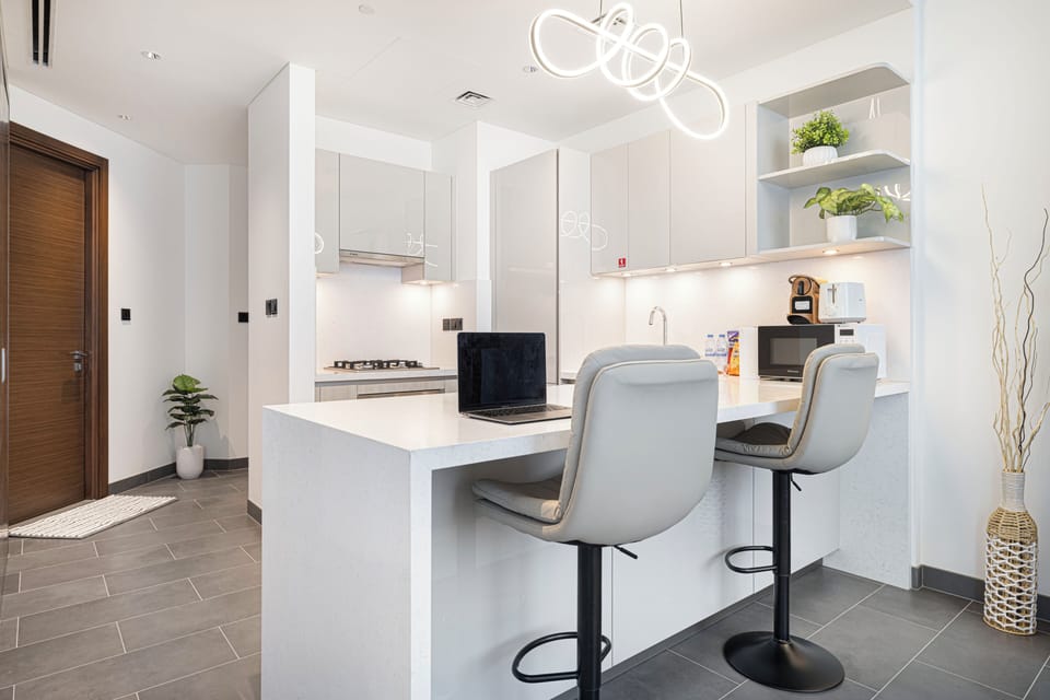 Luxury Apartment, Balcony, City View | Private kitchen | Coffee/tea maker, electric kettle, blender, cleaning supplies