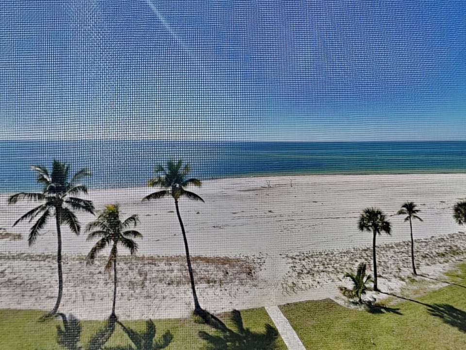 Gulf Views
