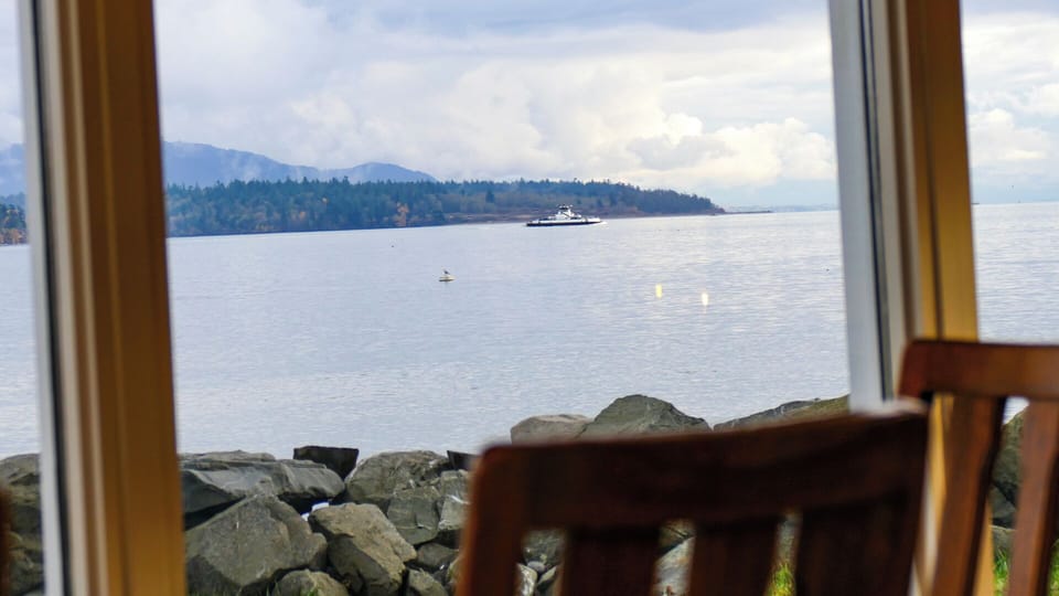 View from dining room
