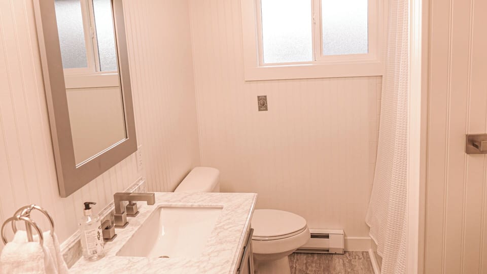 Main Bath with tub and shower