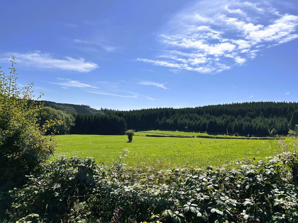House | View from property
