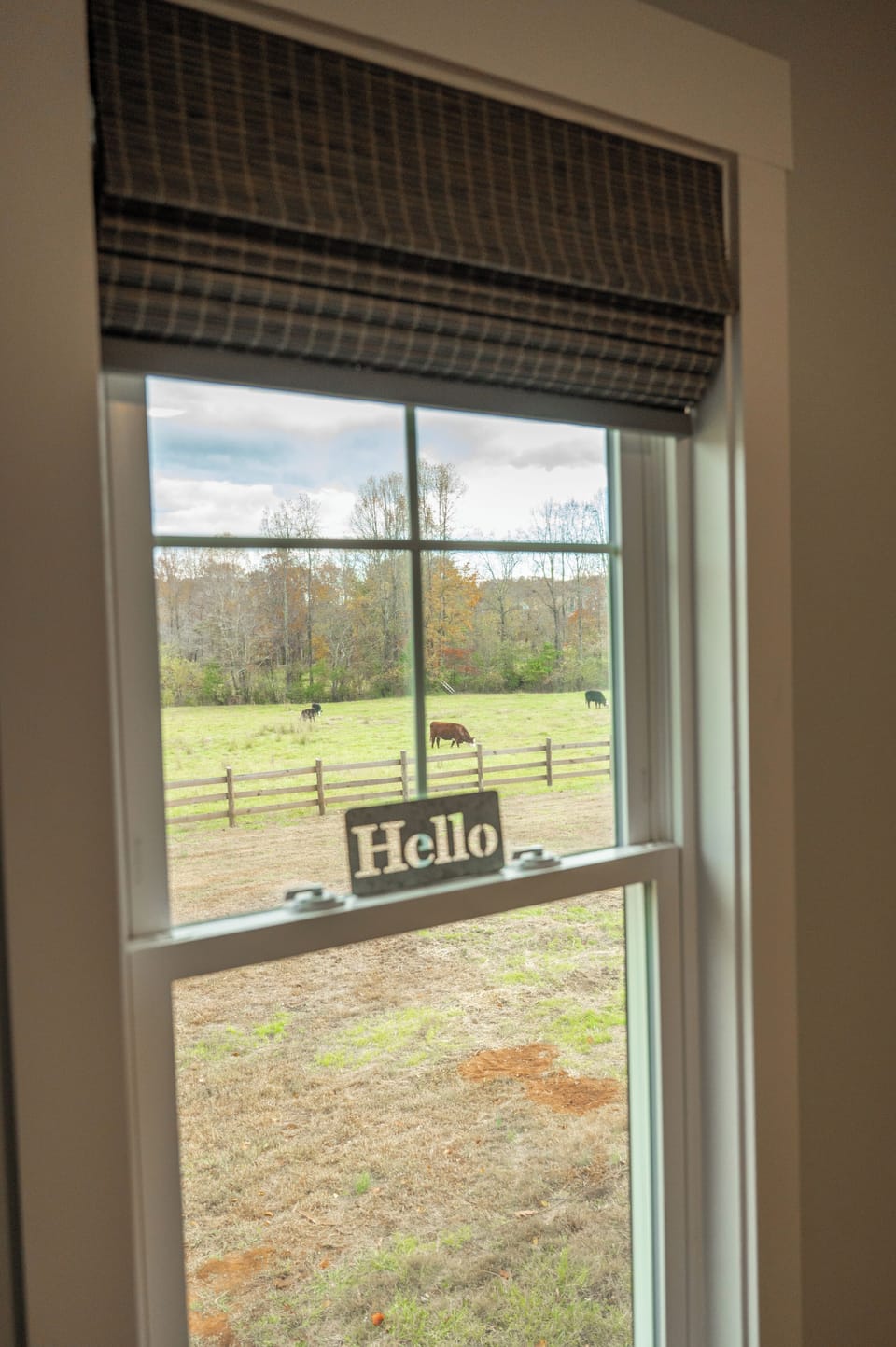 Enjoy a fantastic pasture view out the bunkroom window!