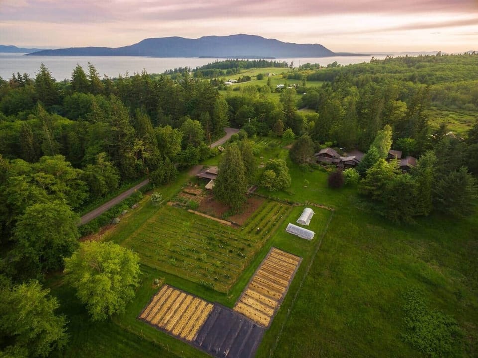 Aerial shot of the farm