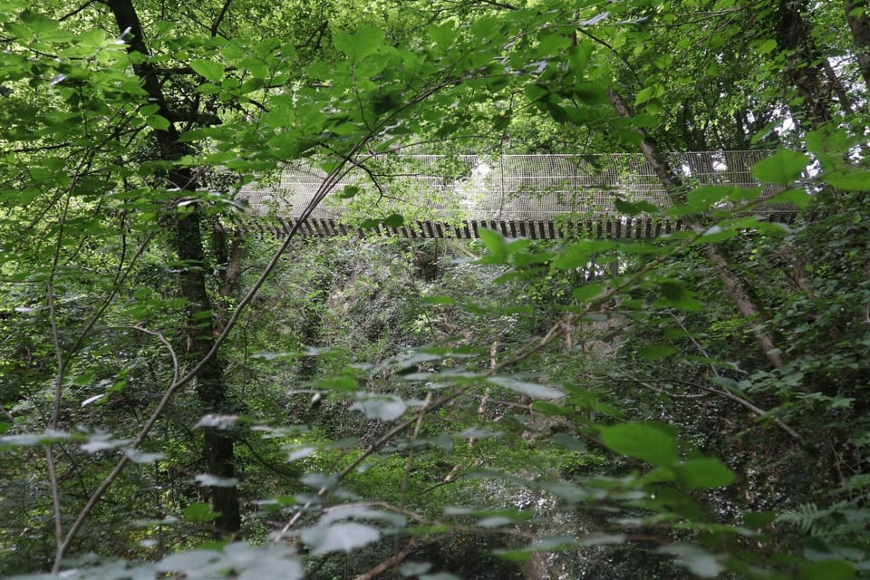 Immediate Surroundings [summer] (<1 km)