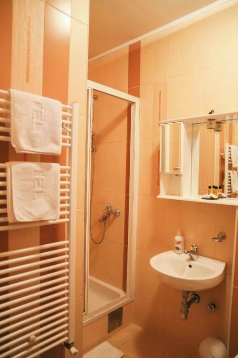 Shower, eco-friendly toiletries, hair dryer, slippers