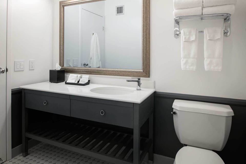 Combined shower/tub, free toiletries, hair dryer, towels