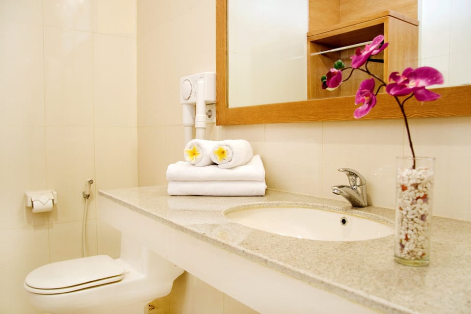 Hair dryer, bidet, towels, soap