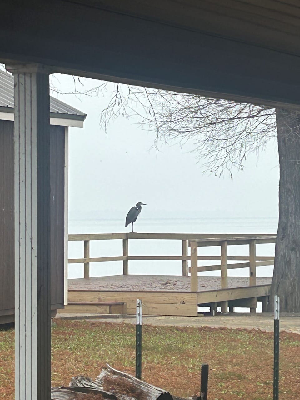 View from property