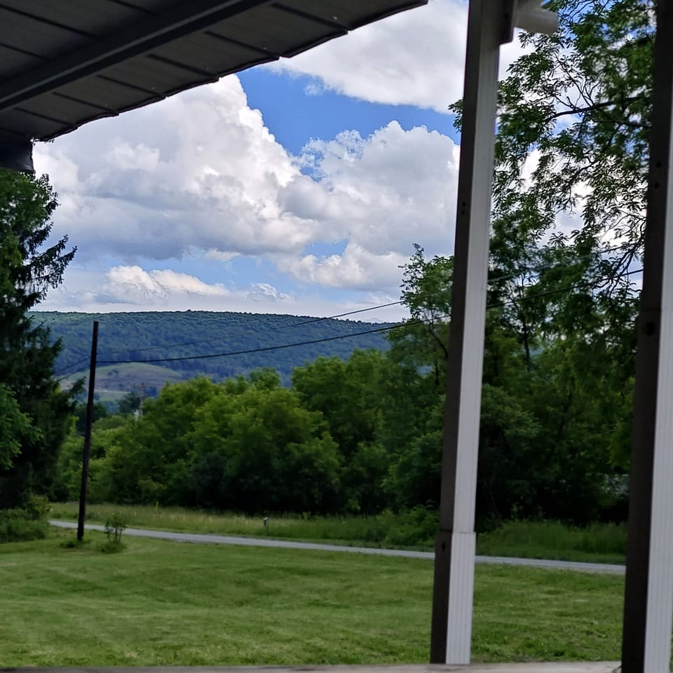 View from property