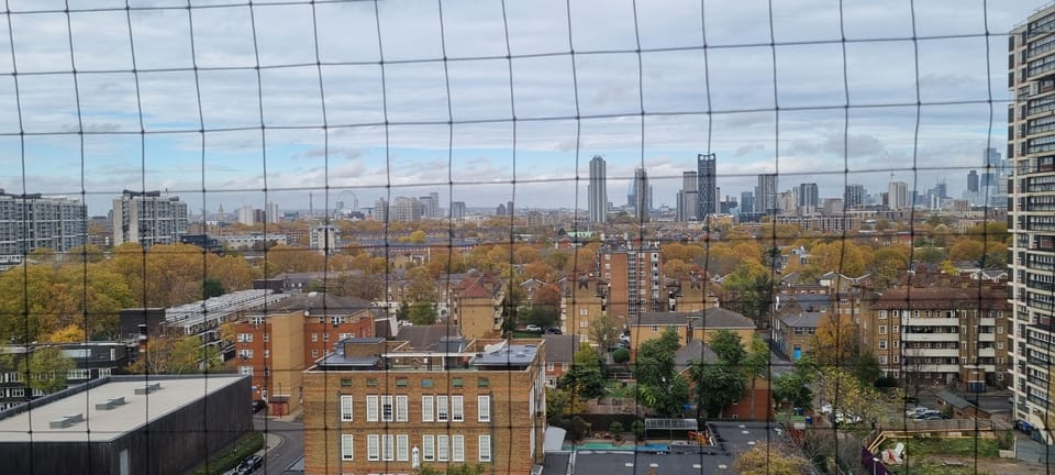 View from property