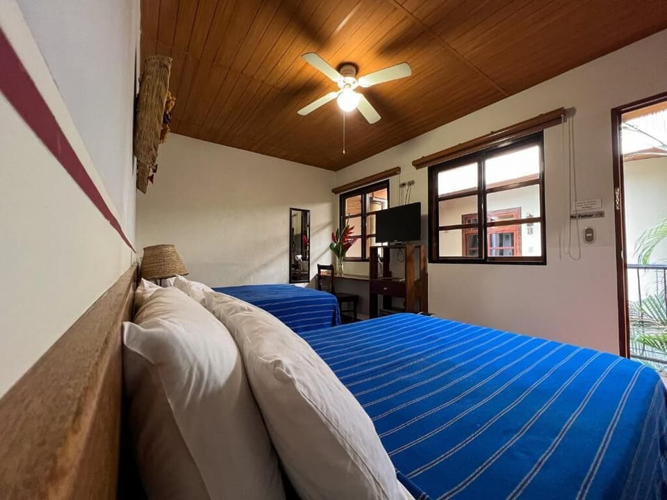 Premium bedding, desk, iron/ironing board (on request), WiFi (free)