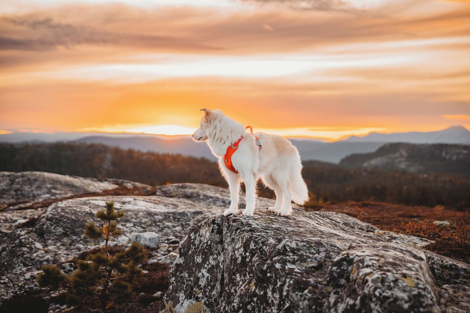 Hiking