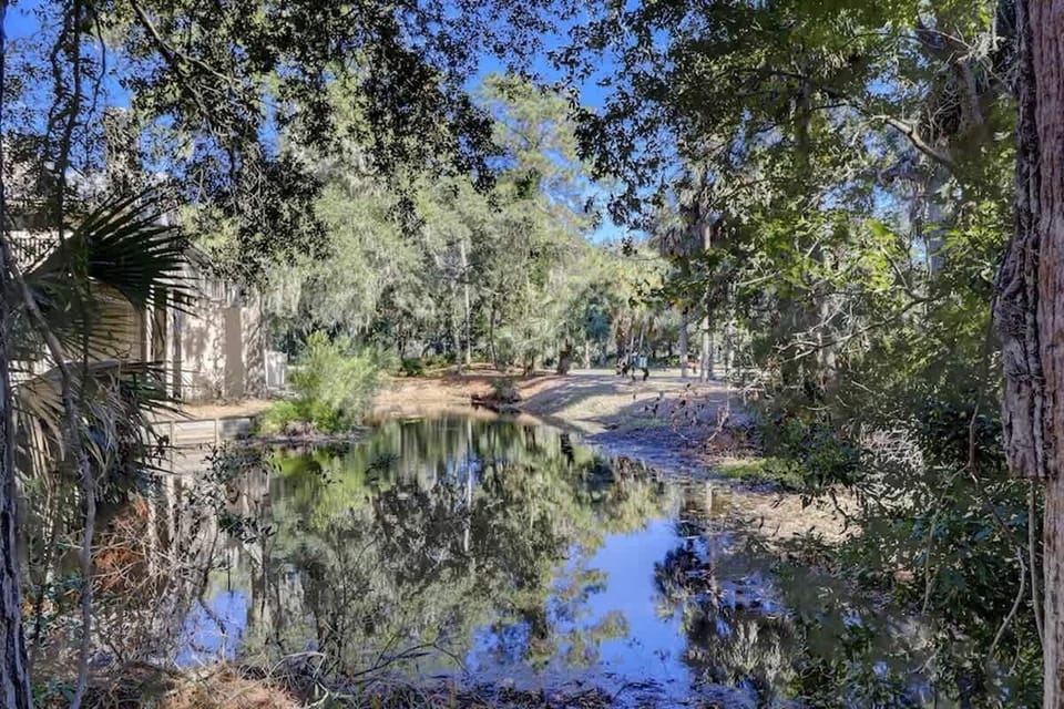 Tranquil pond surrounded by lush trees and natural greenery