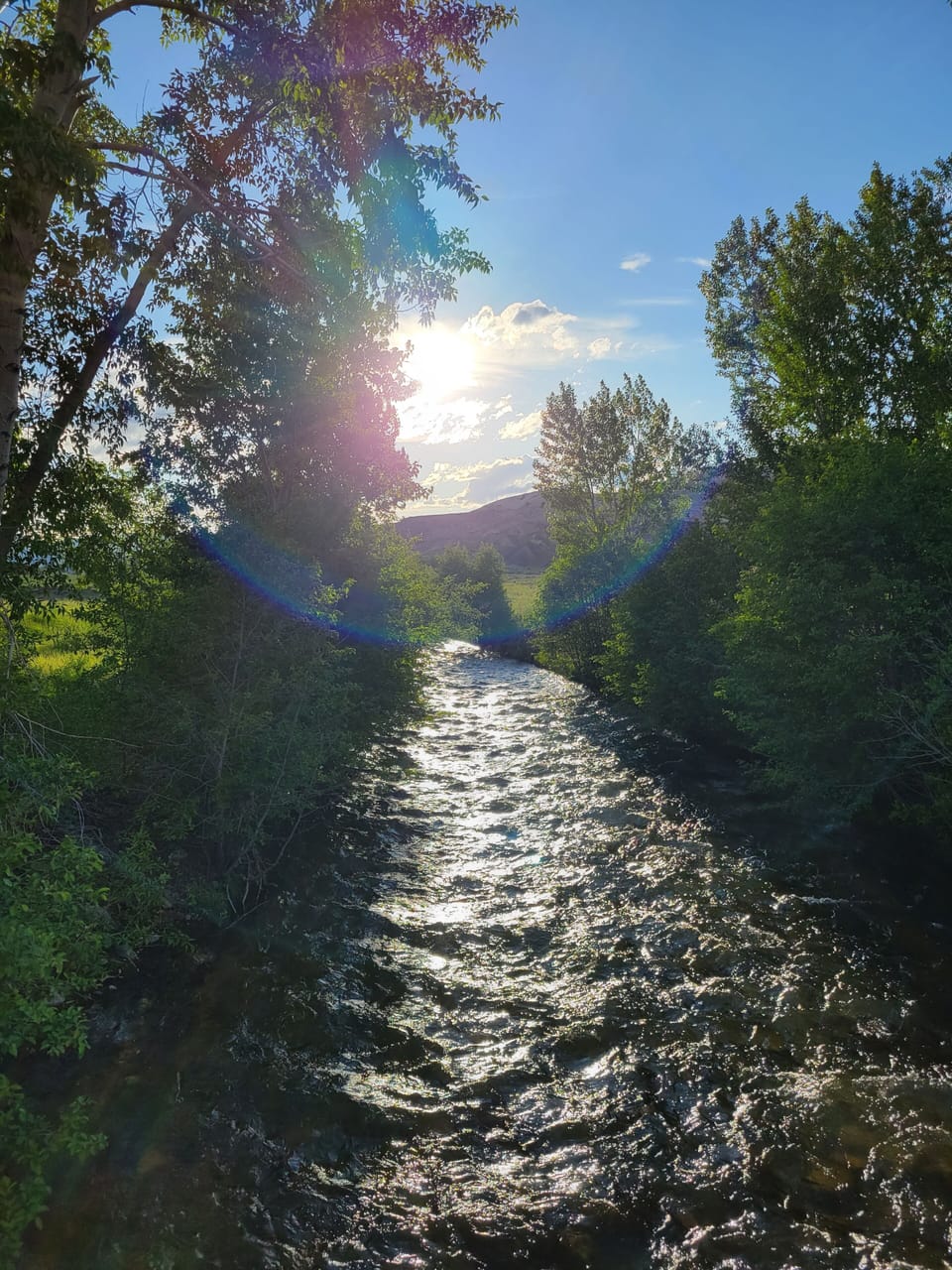 Unwind by the river as sunlight sparkles through trees.