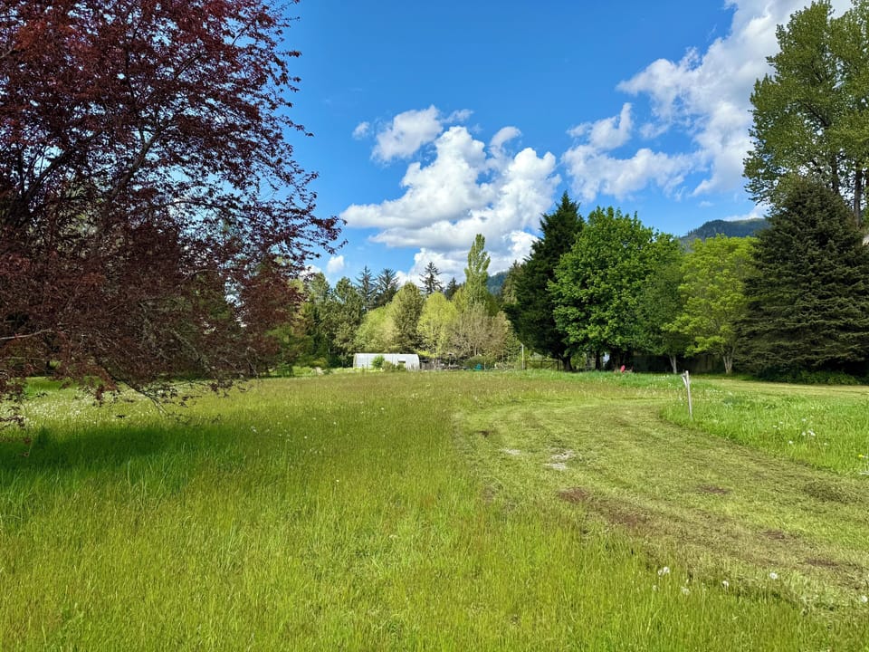 Feel free to walk the trails on the property