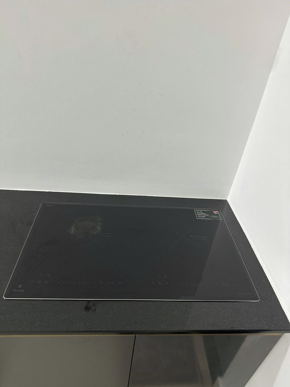 Electric stove and induction stove