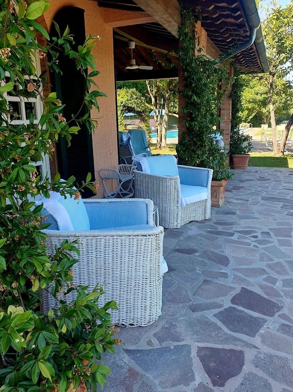 Furniture, Outdoor Furniture, Shade, Chair, Flowerpot, Flooring, Flagstone, Outdoor Table, Garden, Landscaping