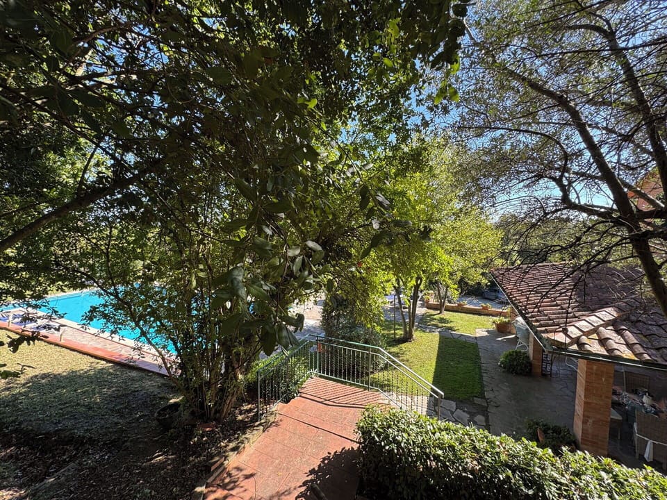 Leaf, Shade, Garden, Sunlight, Backyard, Estate, Yard, Hacienda, Swimming Pool, Landscaping