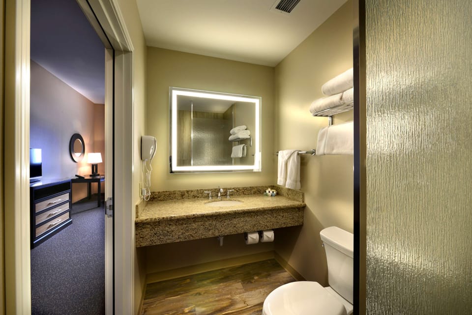 Shower, hydromassage showerhead, free toiletries, hair dryer